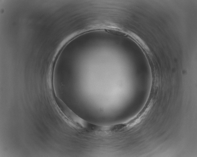 X0000051241246200506171102