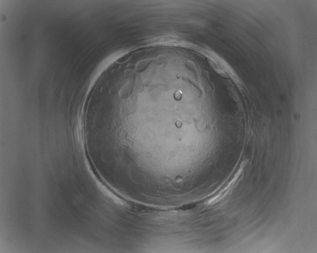 X0000051241247200506171102