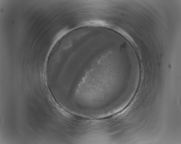 X0000051241248200506171102