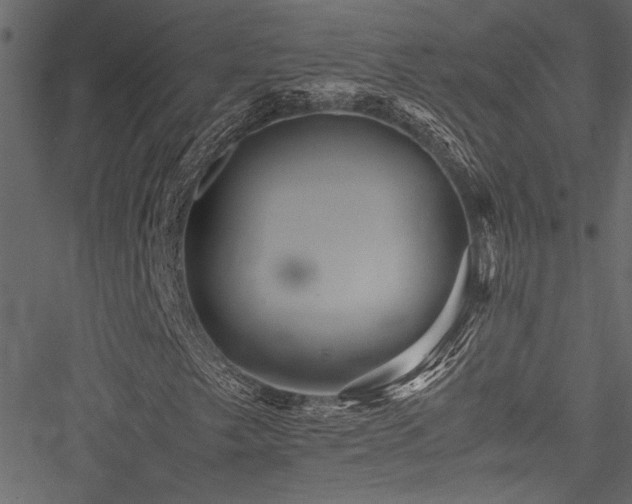 X0000051241249200506171101