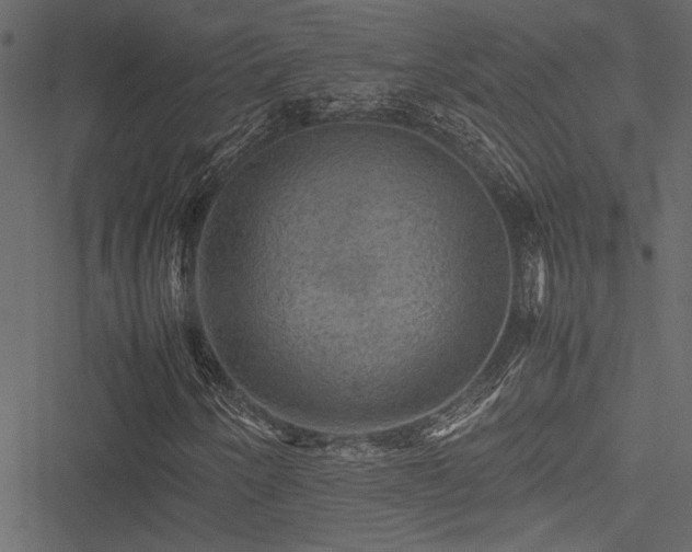 X0000051241250200506171101