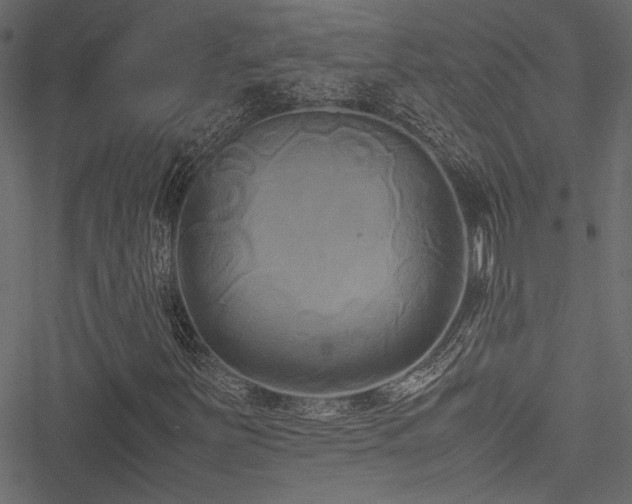 X0000051241251200506171101