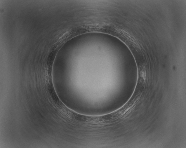 X0000051241252200506171101