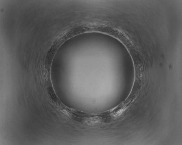 X0000051241253200506171101