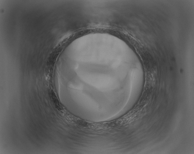 X0000051241254200506171101