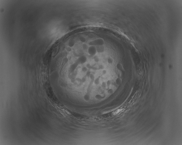 X0000051241255200506171101