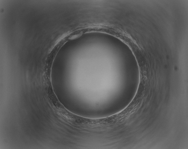 X0000051241256200506171101