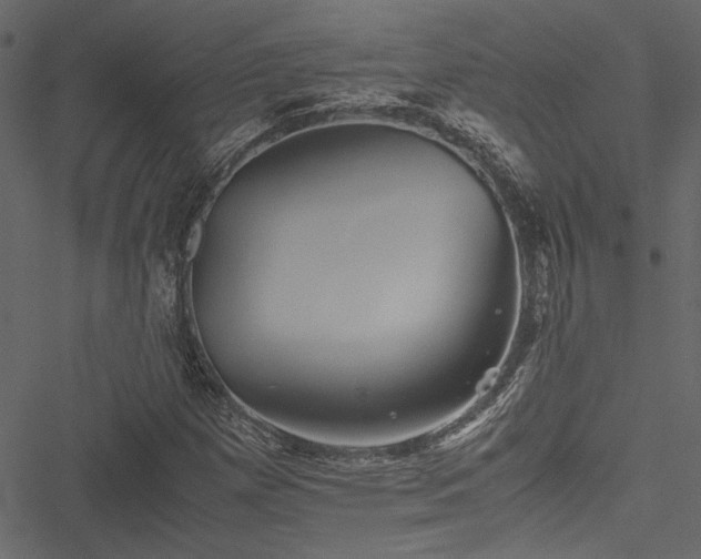 X0000051241257200506171101