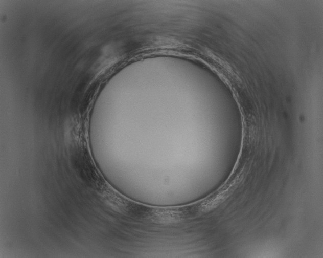 X0000051241258200506171101