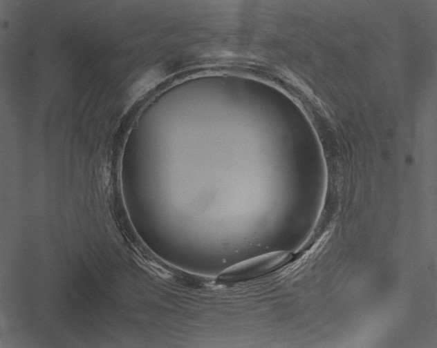 X0000051241259200506171101