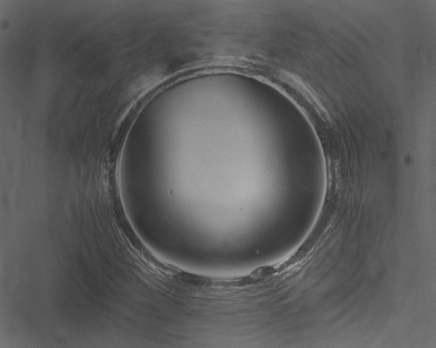 X0000051241260200506171101