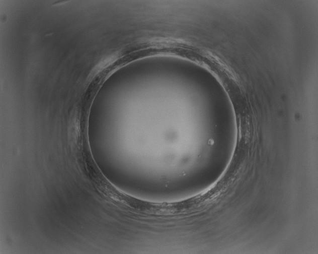 X0000051241261200506171101