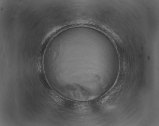 X0000051241262200506171101