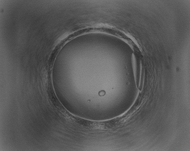 X0000051241263200506171101