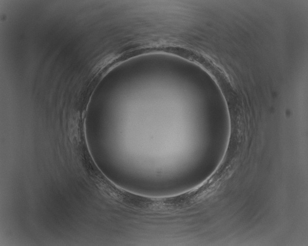 X0000051241265200506171101