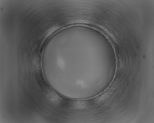 X0000051241266200506171101