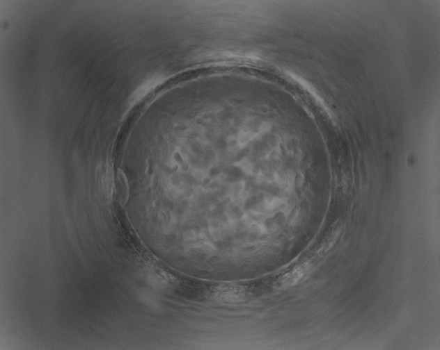 X0000051241267200506171101