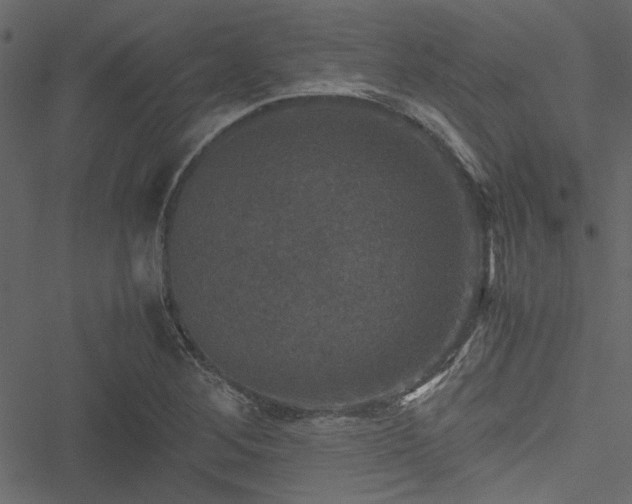 X0000051241268200506171101