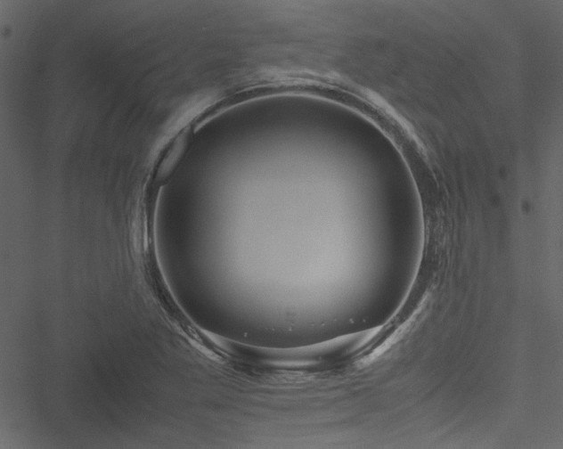 X0000051241269200506171101