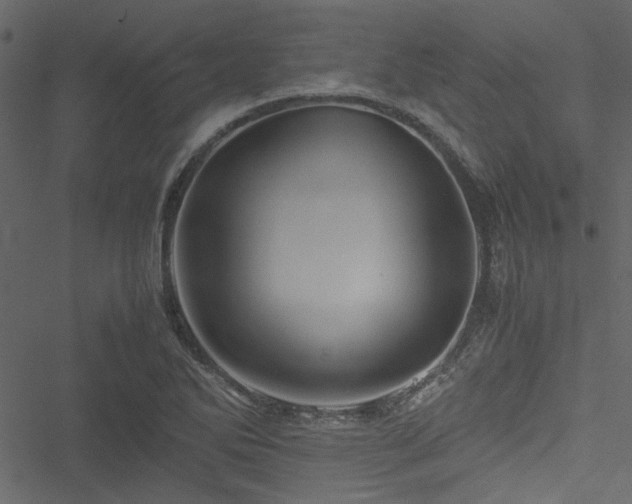 X0000051241270200506171101