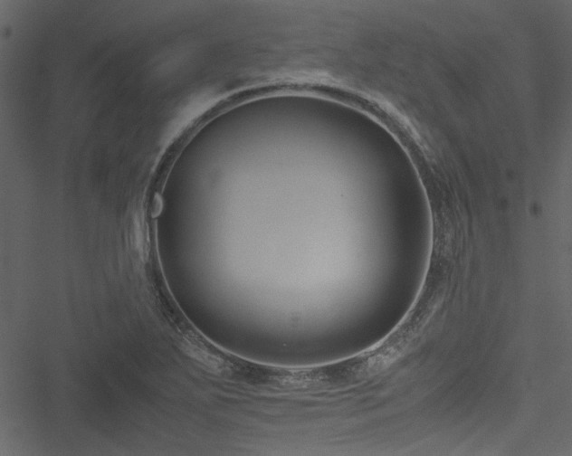 X0000051241271200506171101