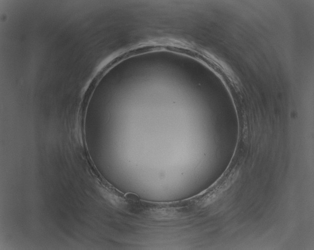 X0000051241272200506171101