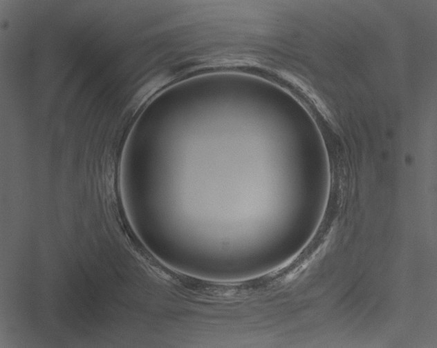 X0000051241273200506171101