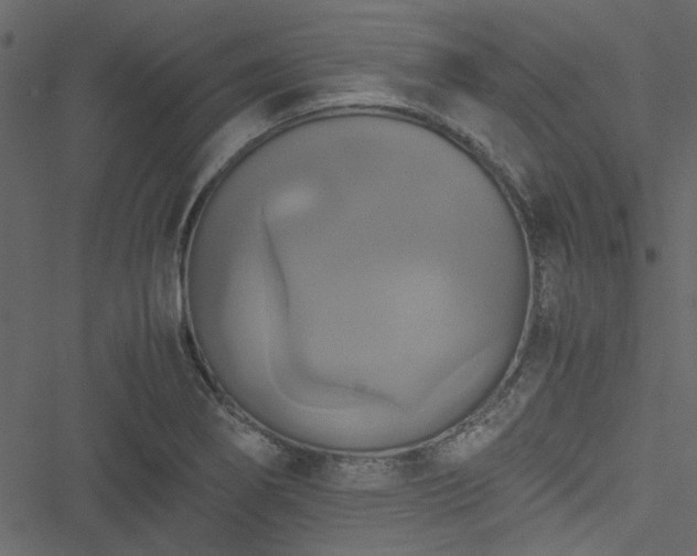 X0000051241274200506171101