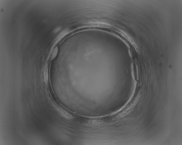 X0000051241275200506171101