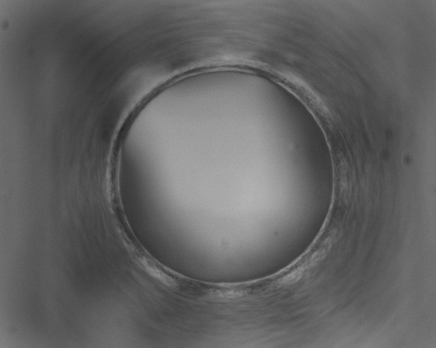 X0000051241278200506171101