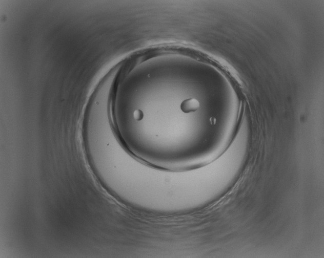 X0000051241279200506171101