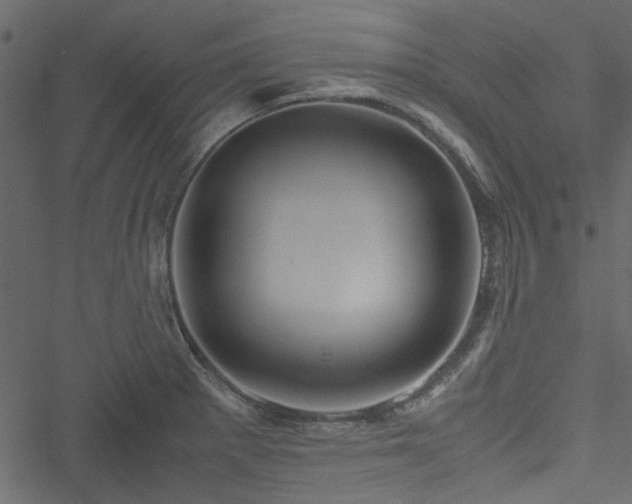 X0000051241281200506171101