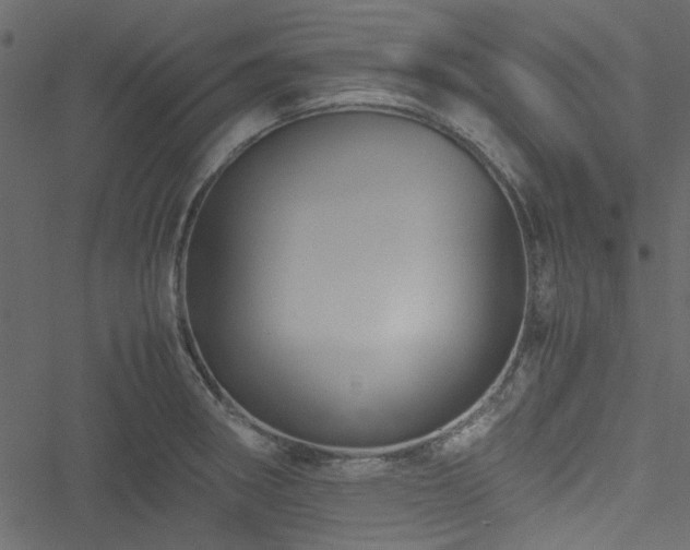 X0000051241282200506171101