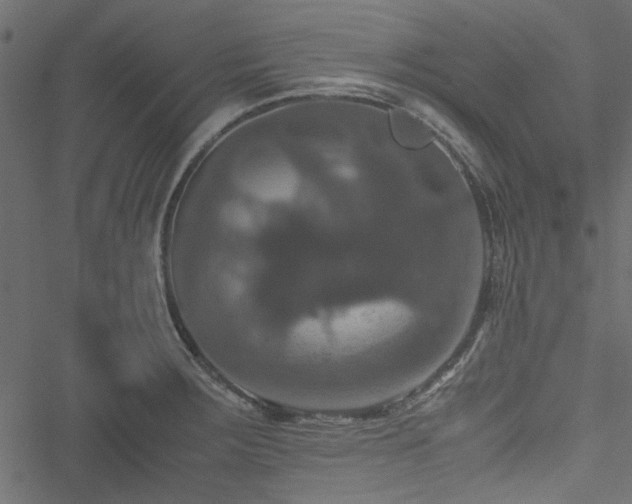 X0000051241283200506171101