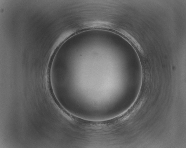 X0000051241285200506171101