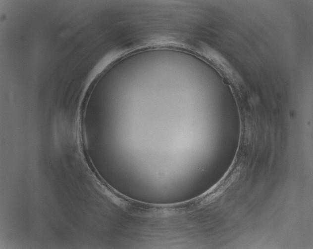 X0000051241286200506171101