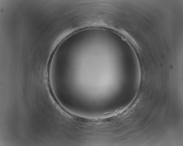 X0000051241287200506171101