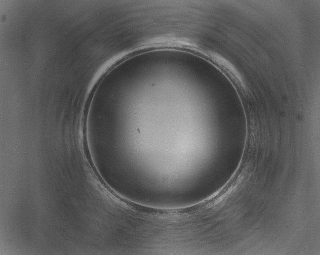 X0000051241288200506171101