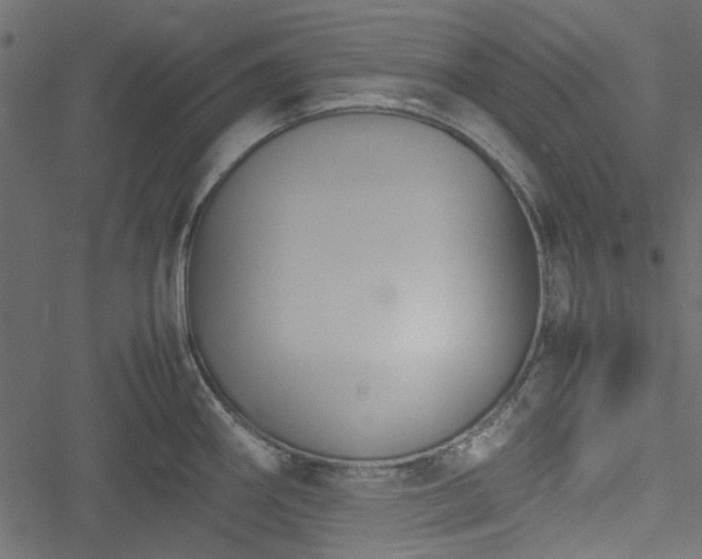 X0000051241290200506171101