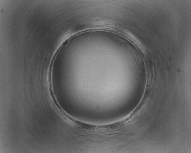 X0000051241291200506171101