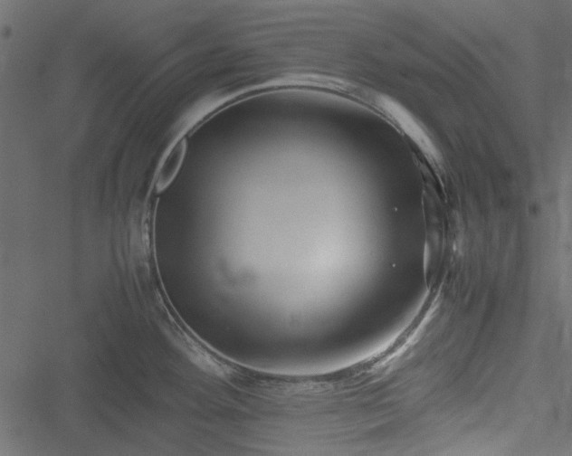 X0000051241292200506171101