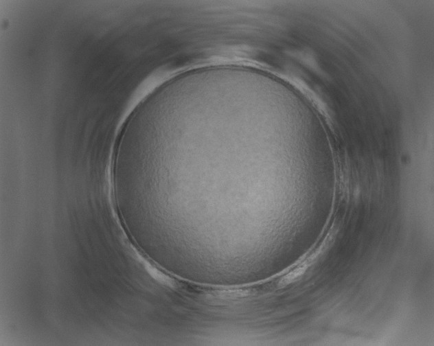 X0000051241294200506171101