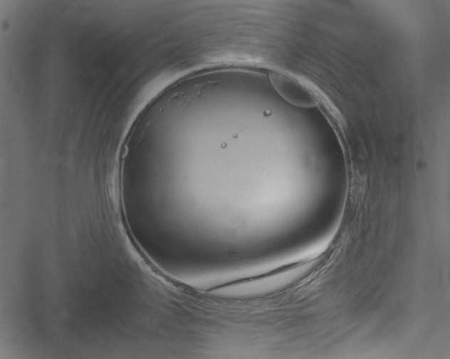 X0000051241295200506171101