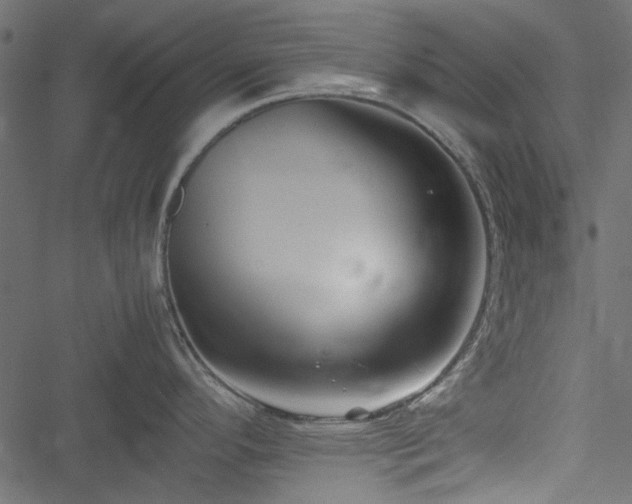 X0000051241296200506171101