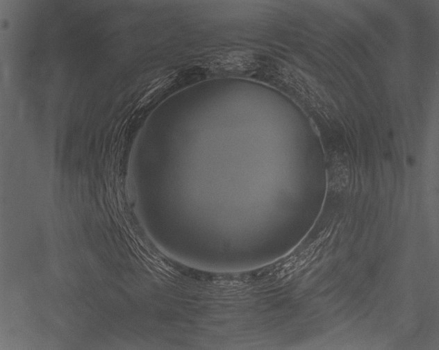 X0000051241297200506171100