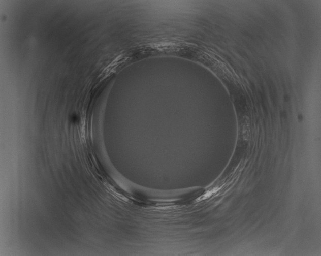 X0000051241298200506171100