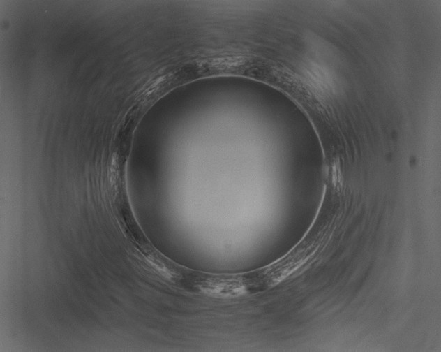 X0000051241299200506171100