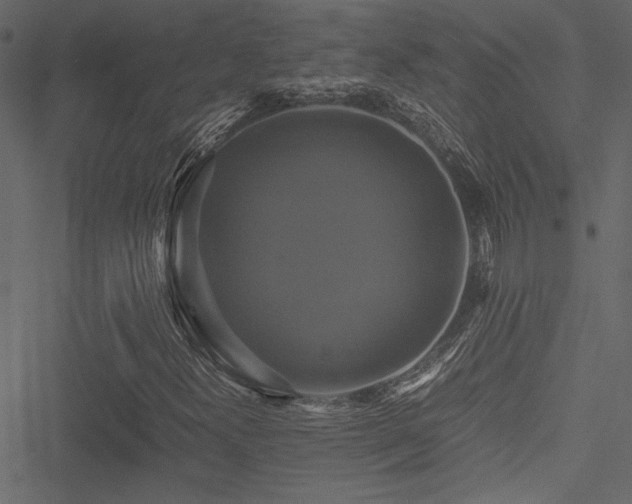 X0000051241300200506171100