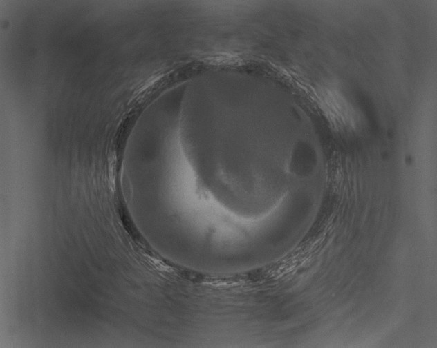 X0000051241301200506171100