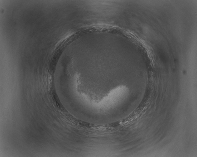 X0000051241302200506171100